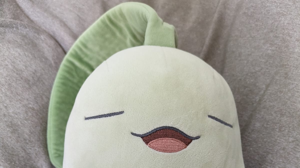 关于睡眠