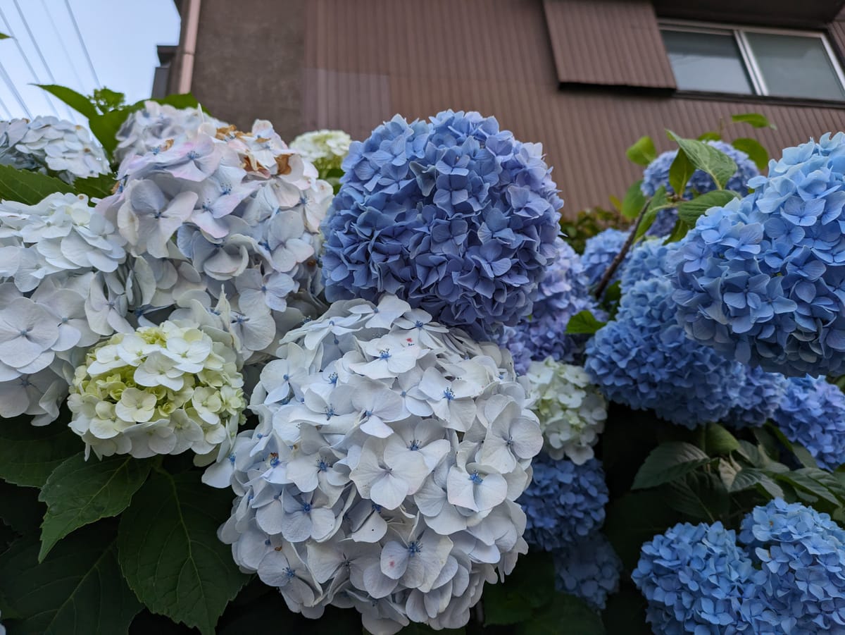 扬袂入泽宫