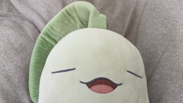 关于睡眠