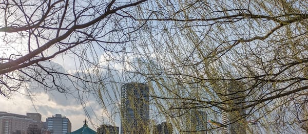3月零碎一
