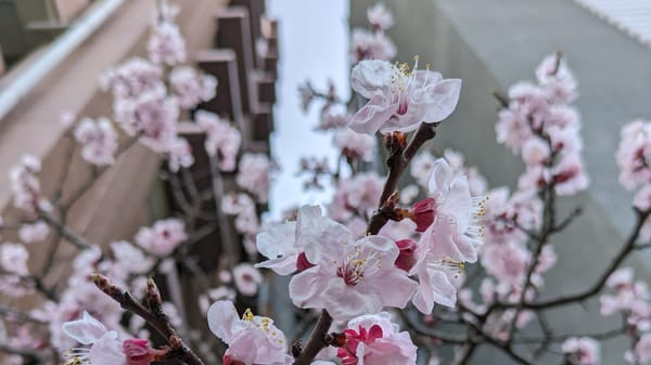 三月零碎3