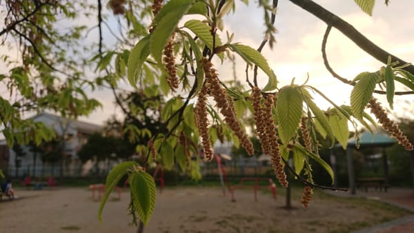 冲霄而绝